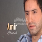 Amir yazbek